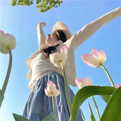 外来客入侵